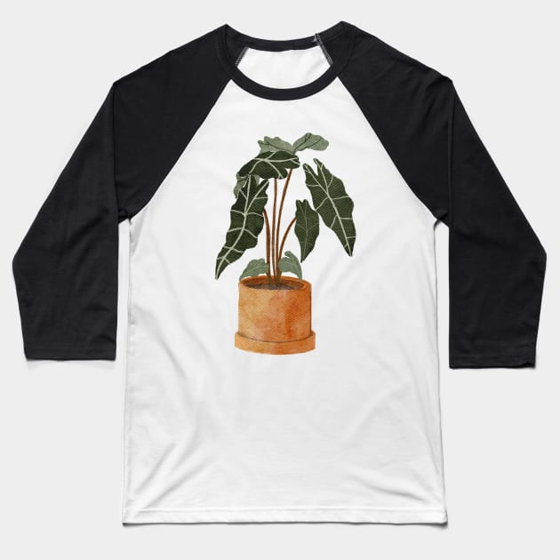 Alocasia Polly Plant Baseball T-Shirt by gronly